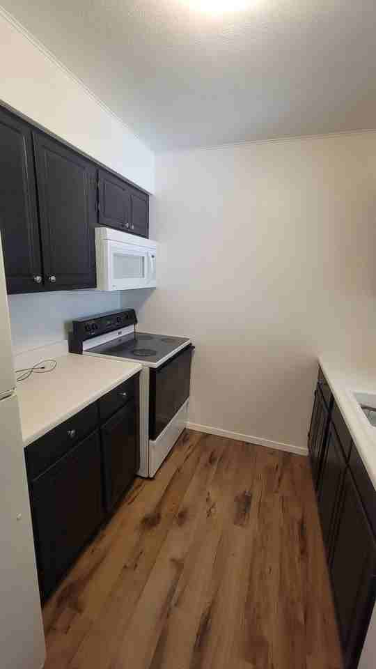 7166 Michael Rd - Photo 2 of 28