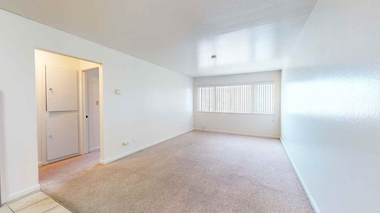 2434 Fern St #B - Photo 3 of 13