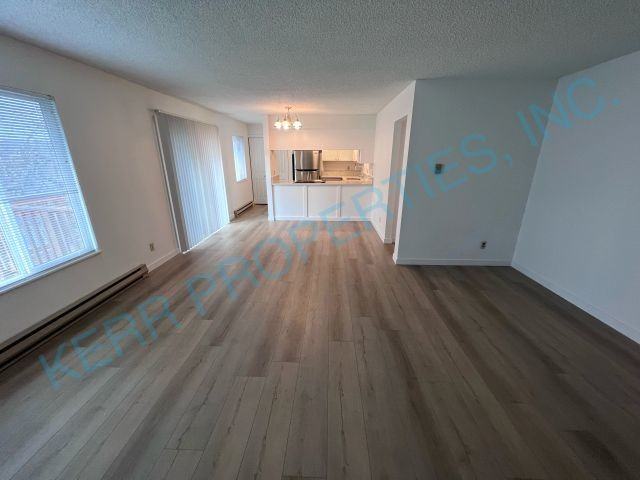 203 S High St - Photo 4 of 16