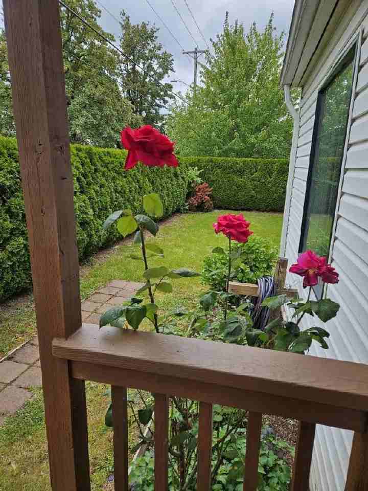 2117 Cedar St - Photo 3 of 9