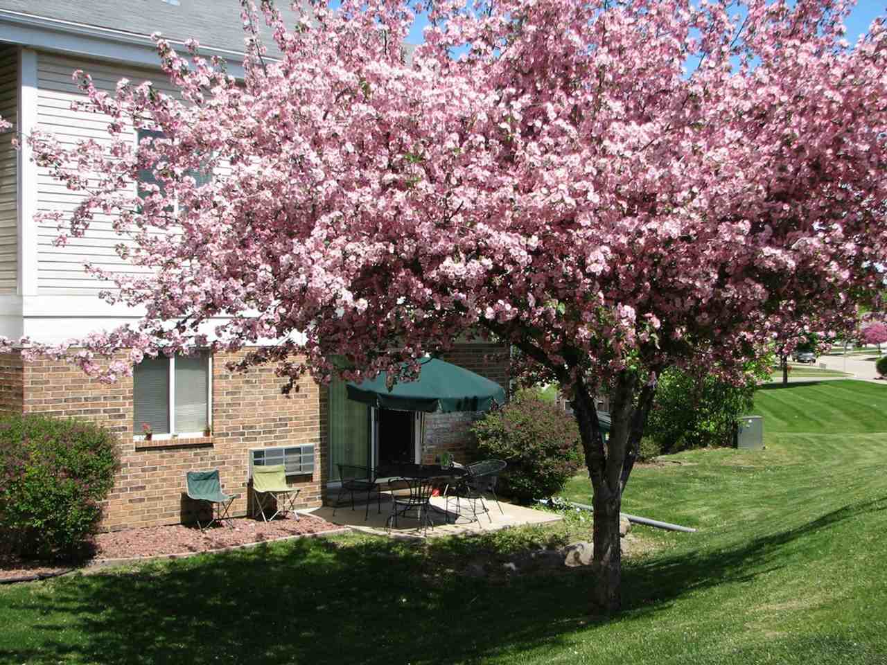 Stoughton Arms - Photo 5 of 47