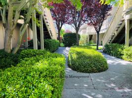 featured image of 720 Petaluma Blvd S #10