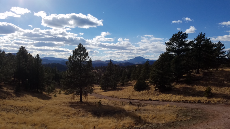 1836 Julia Rd - Photo 3 of 20