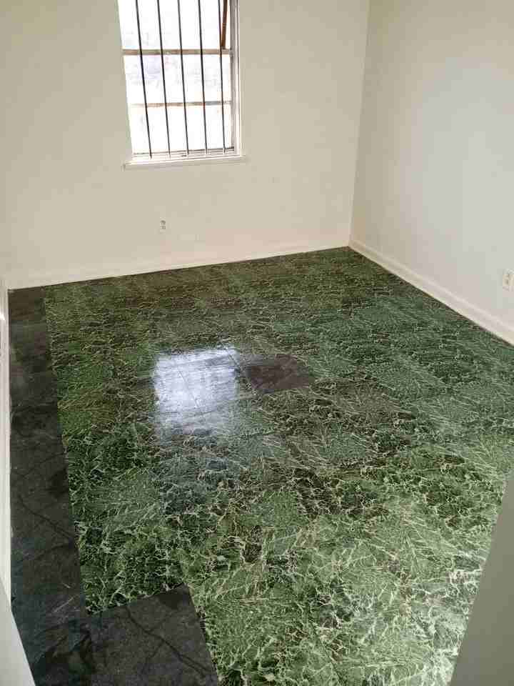 1917 Dove St - Photo 3 of 8