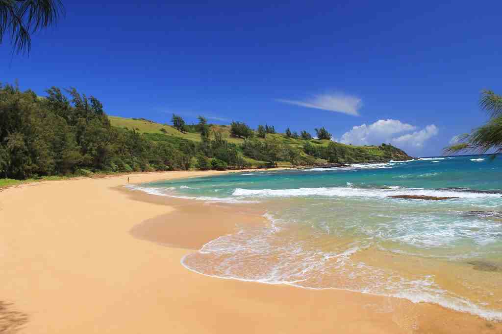 7703 Koolau Road - Photo 2 of 32