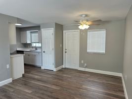 featured image of 420 S Palmetto St #1
