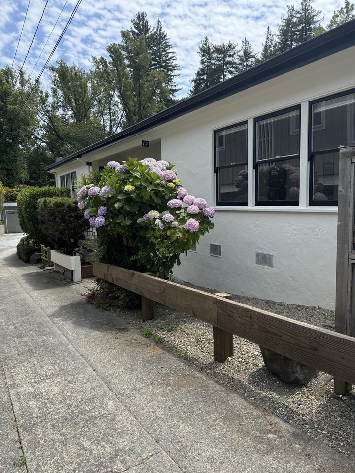 16 Millwood St #16 - Photo 2 of 22