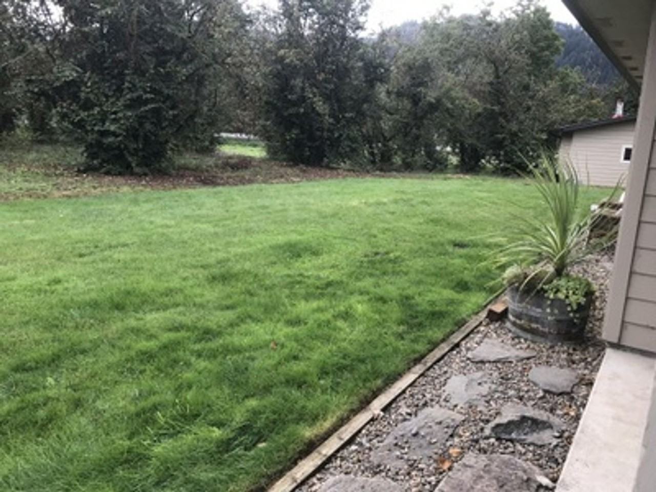 41077 Mckenzie Hwy - Photo 3 of 11