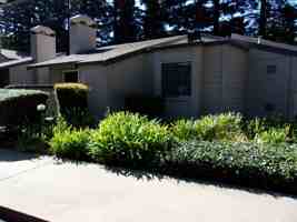 featured image of 7134 Gloria Dr
