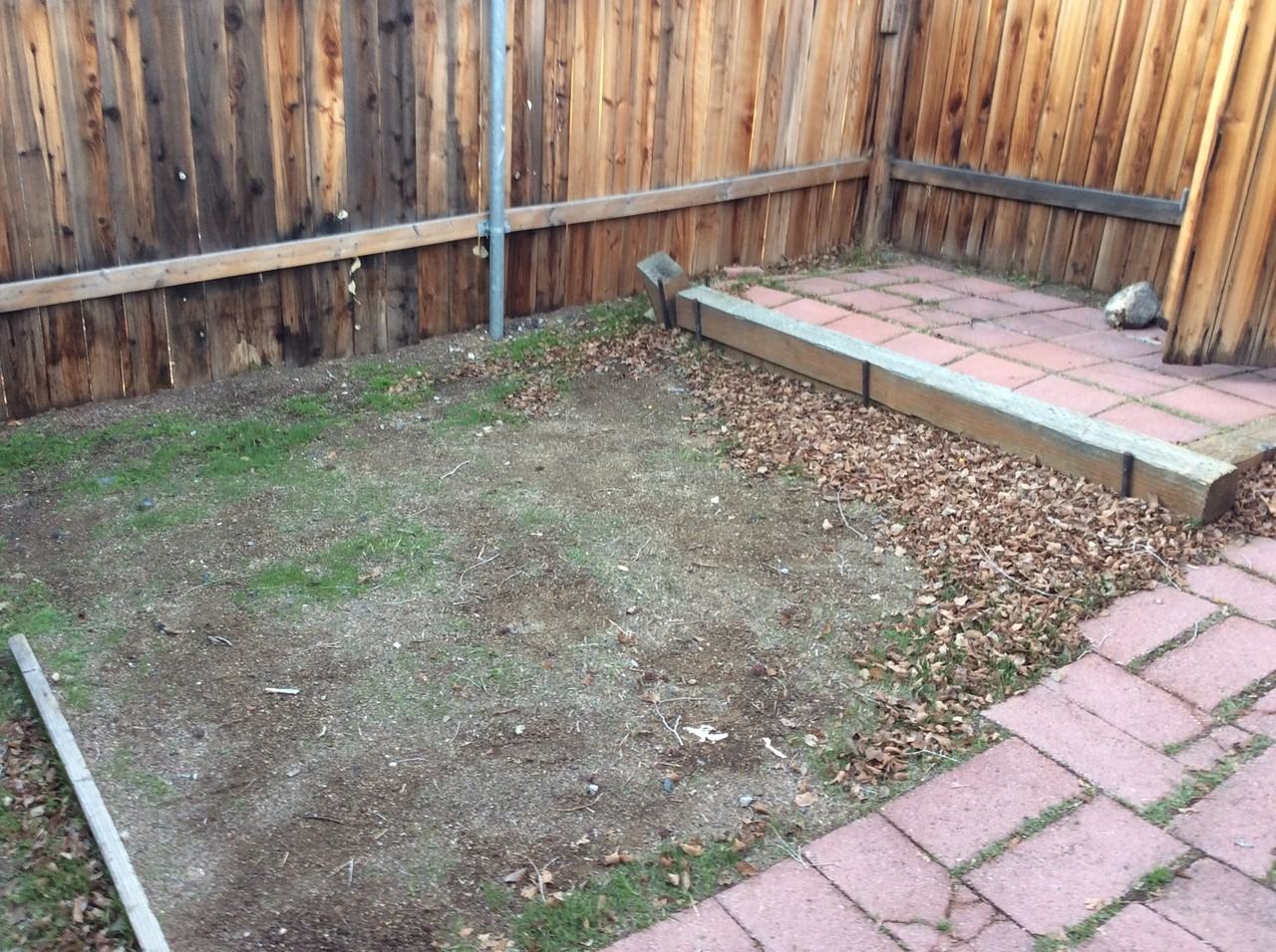 1037 N Sierra St #B - Photo 7 of 8