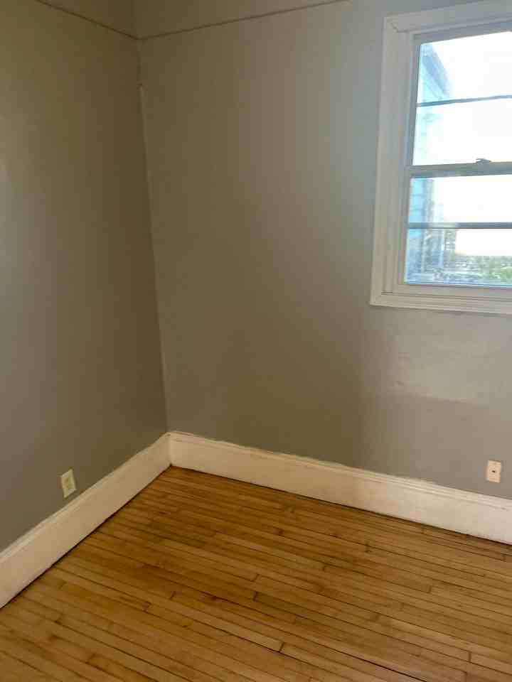2304 S 20th St Lowr Back - Photo 3 of 10