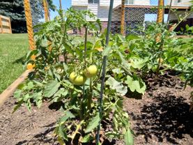 8840 W Jewell Ave #1 - Photo 1 of 1