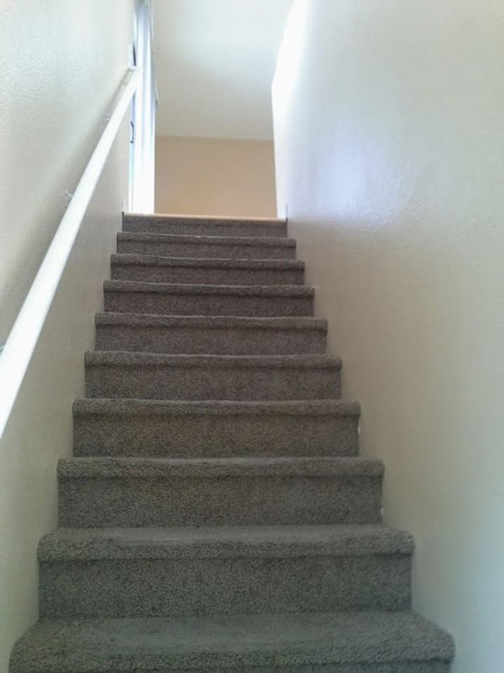 5960 Palmilla St - Photo 5 of 6