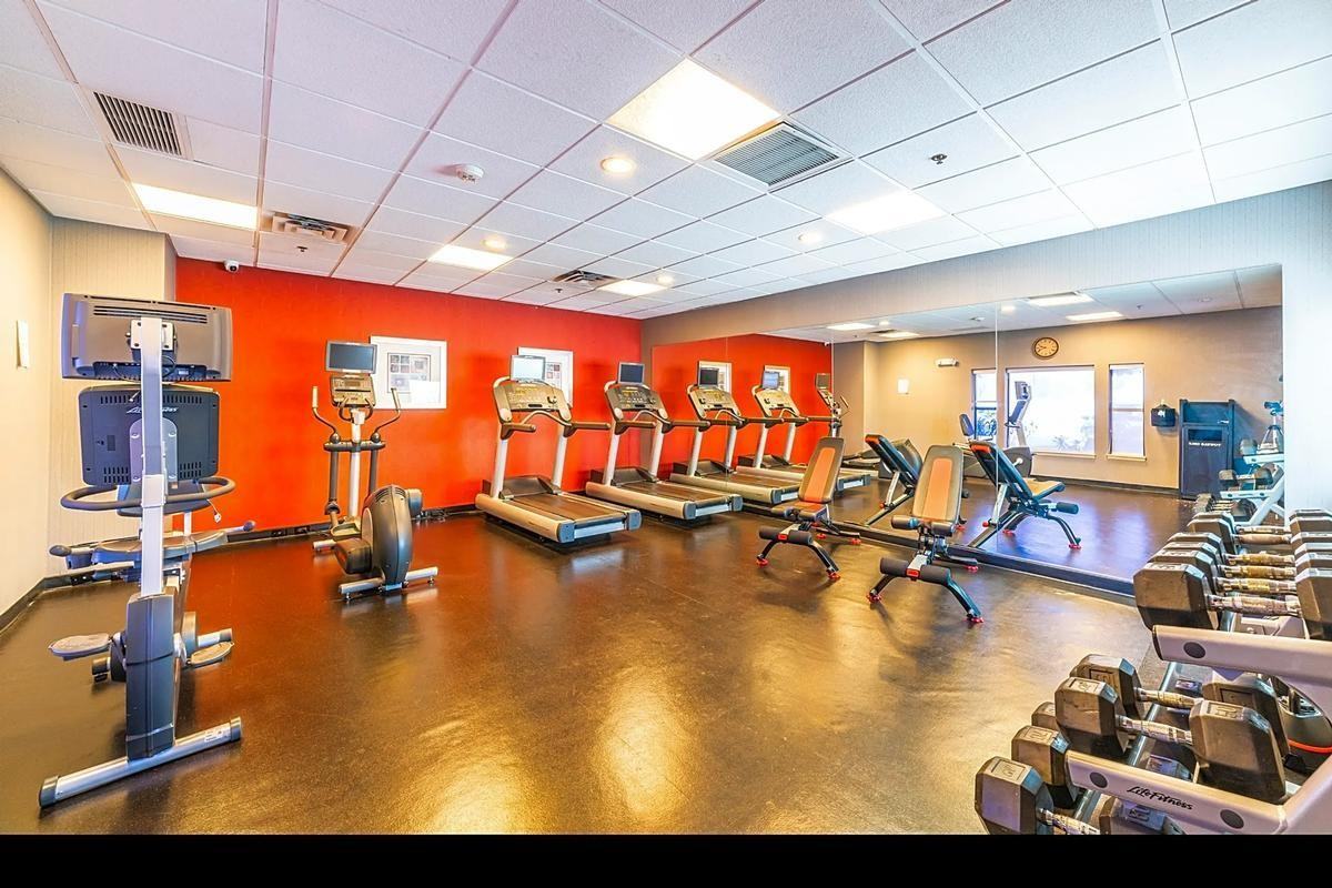 8242 North Black Canyon Highway - Photo 6 of 18