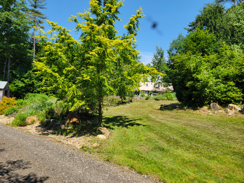 232 Hermit Woods Rd - Photo 3 of 20