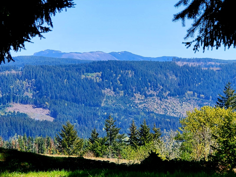 185 Powers Creek Loop Rd Ne #185 - Photo 3 of 14