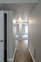 8508 Standing Oak - Photo 1 of 1