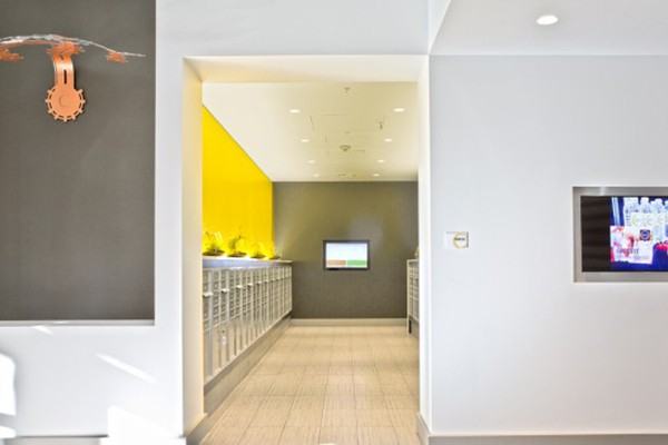 Verve Apartments - Photo 2 of 34