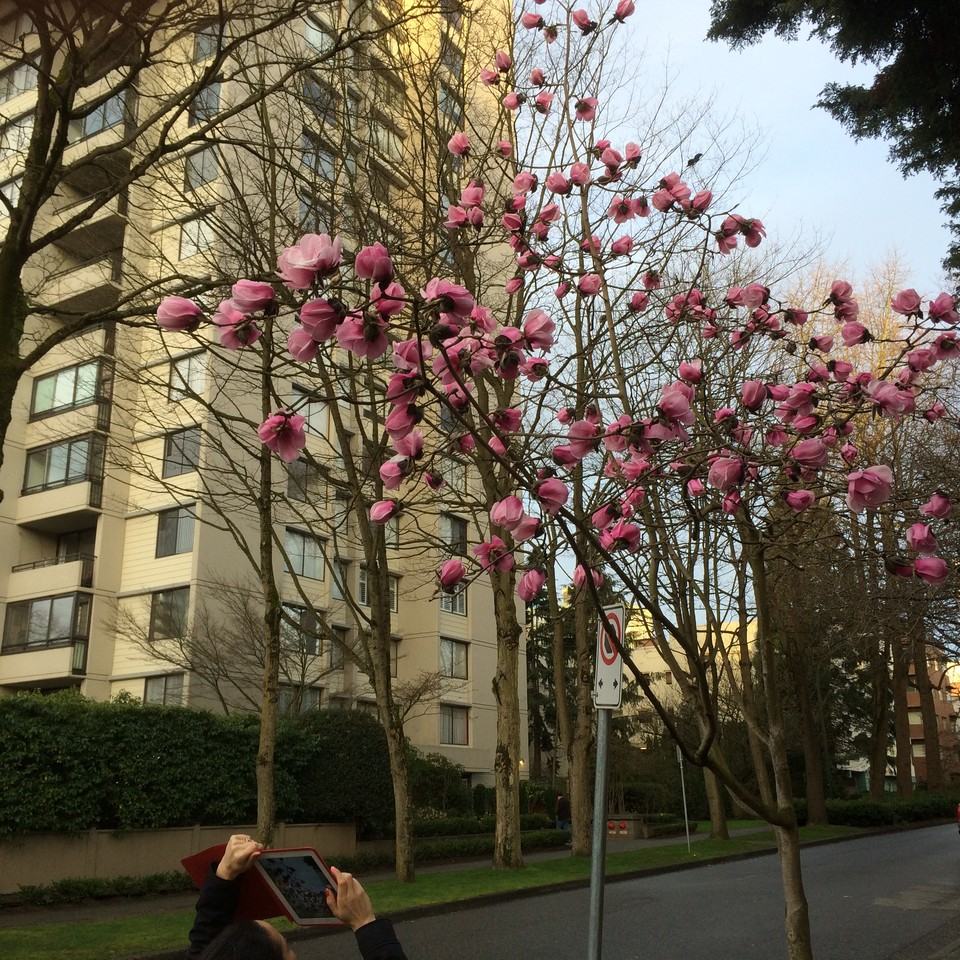 1816 Haro Street #1000