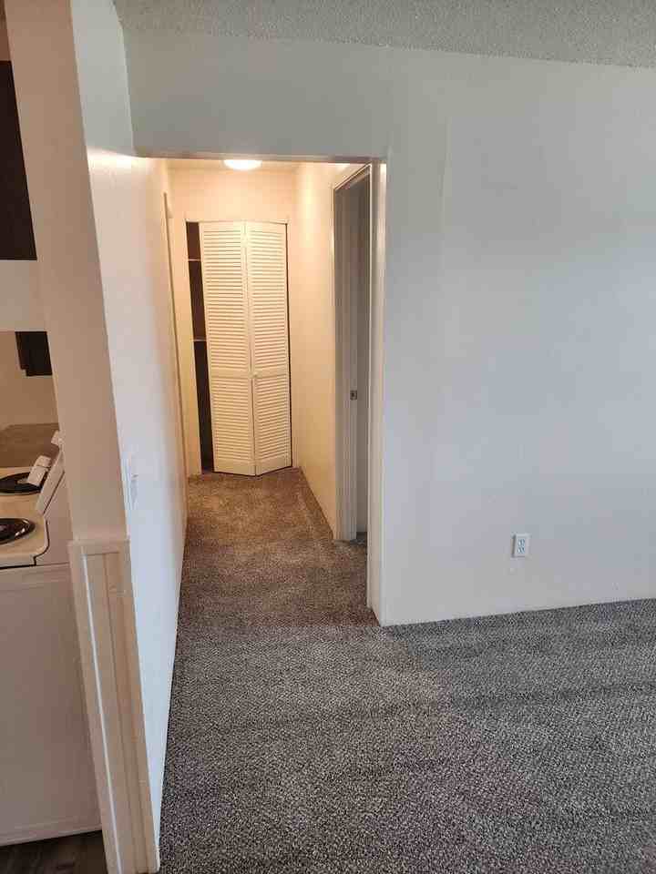Woodlawn Park Apartments - Photo 4 of 14