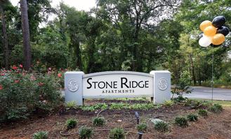 Stone Ridge - Photo 1 of 1