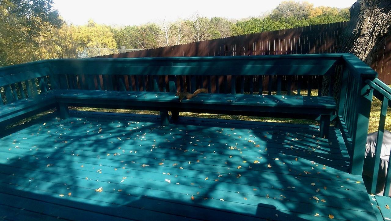 10605 Lord Derby Dr #NA - Photo 3 of 20