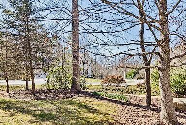 310 Mountain Alder Ln #NA - Photo 7 of 50