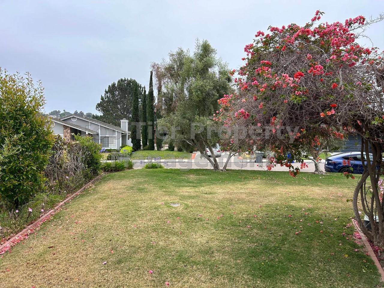 1322 Calle Christopher - Photo 3 of 29