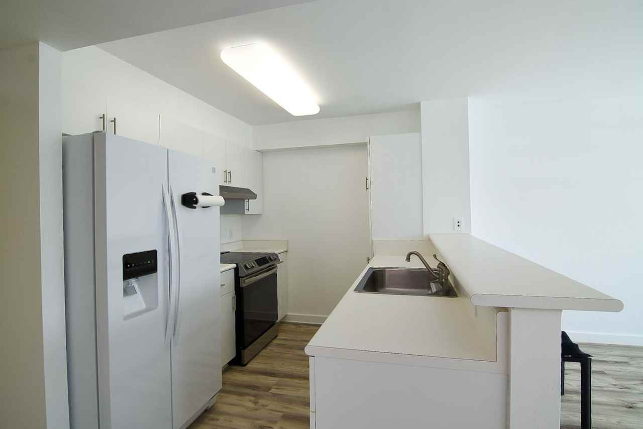 1450 Young St #2606 - Photo 4 of 14