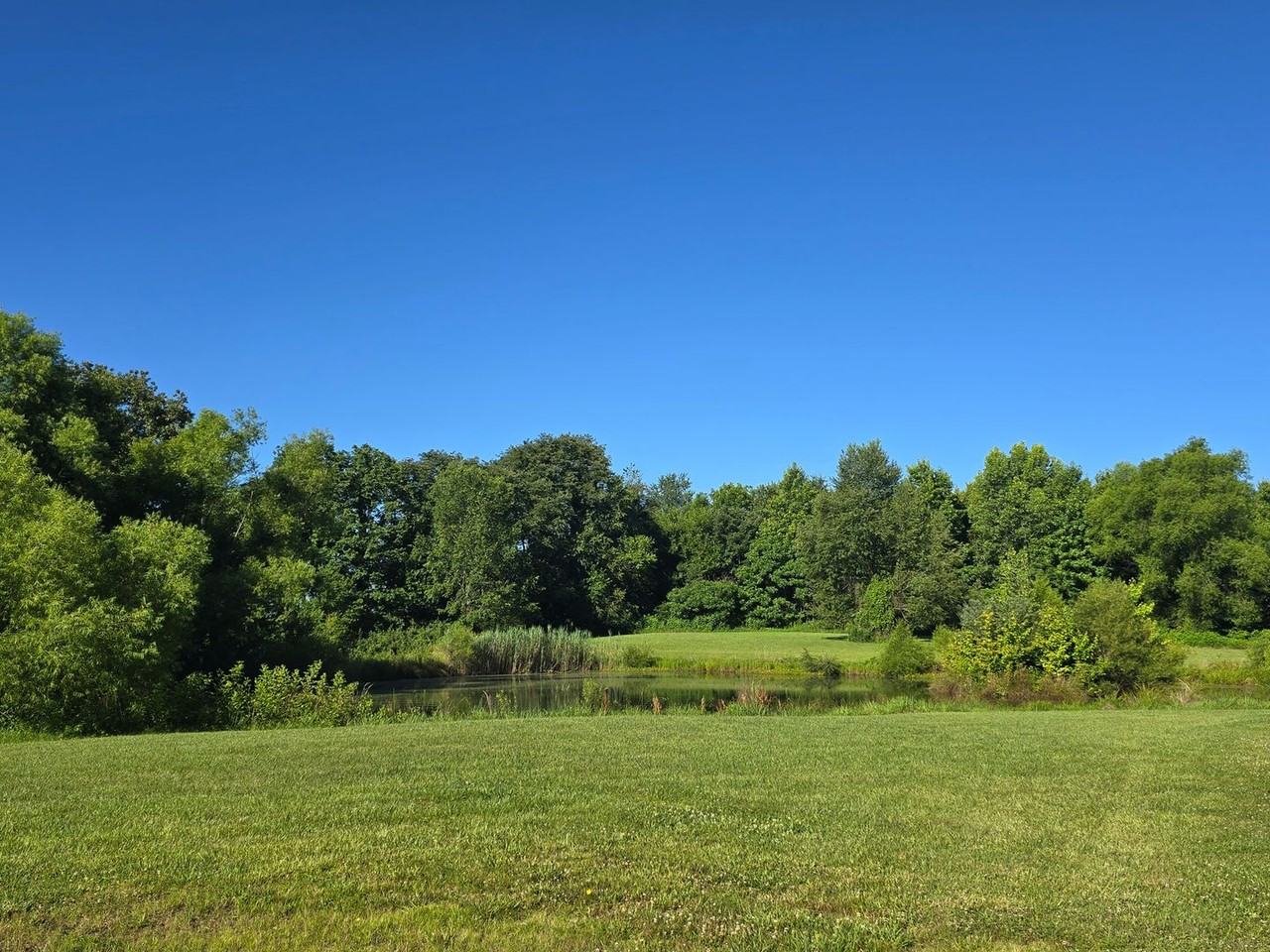 10088 Us Highway 431 - Photo 3 of 3
