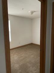 312 Franklin Ave #D - Photo 6 of 13