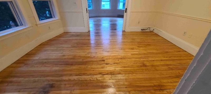 29 Nutting St #2 - Photo 3 of 13