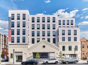 Starling - Photo 1 of 1