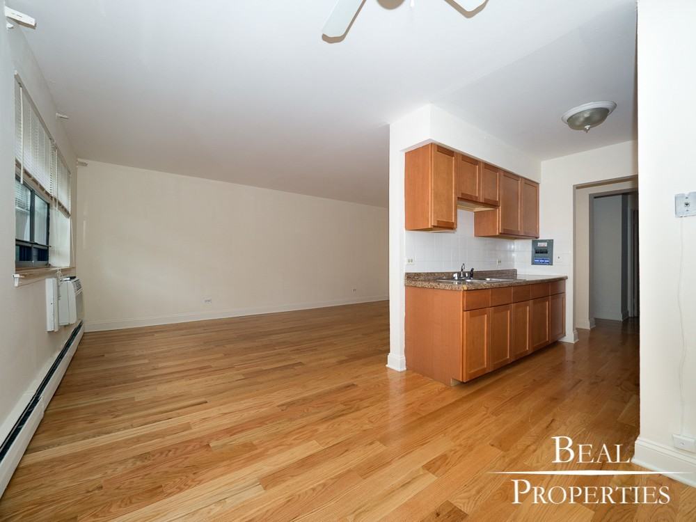 510 West Briar Place - Photo 3 of 12