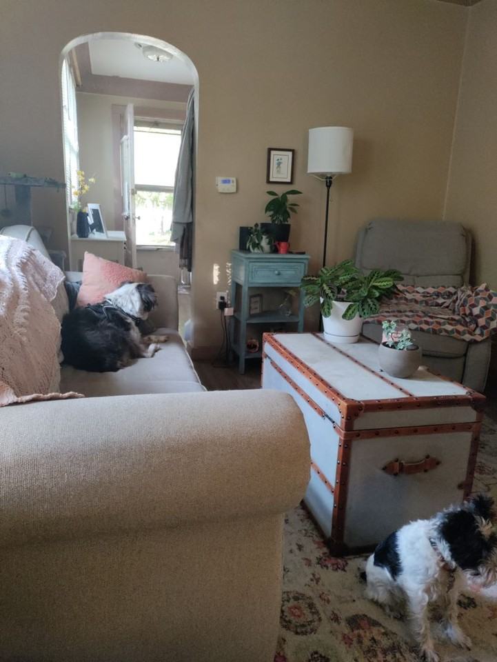 1816 Walnut St - Photo 2 of 5