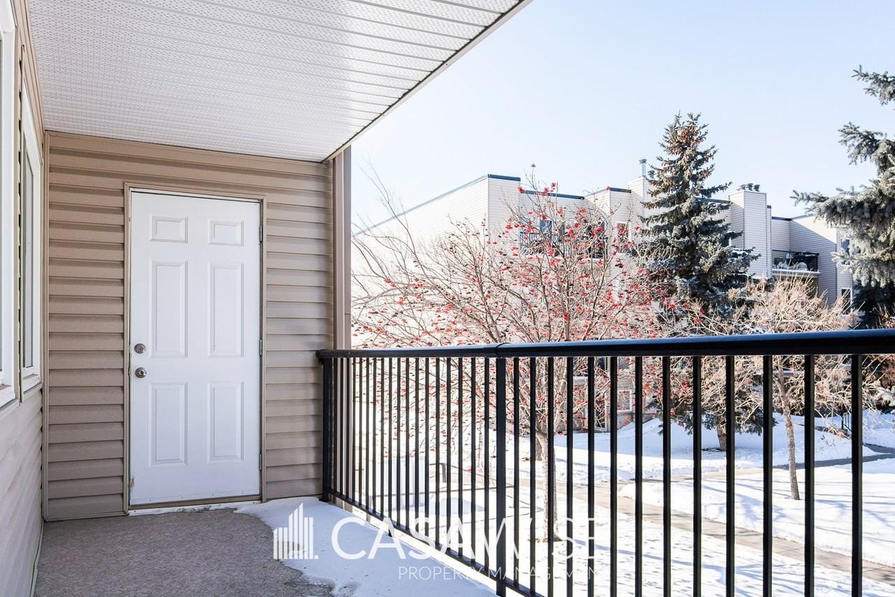 204 - Photo 5 of 12