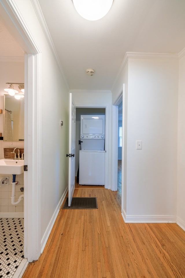 2913 Branch Ct #B - Photo 7 of 17