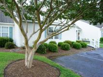 4604 Song Sparrow Ct - Photo 1 of 1
