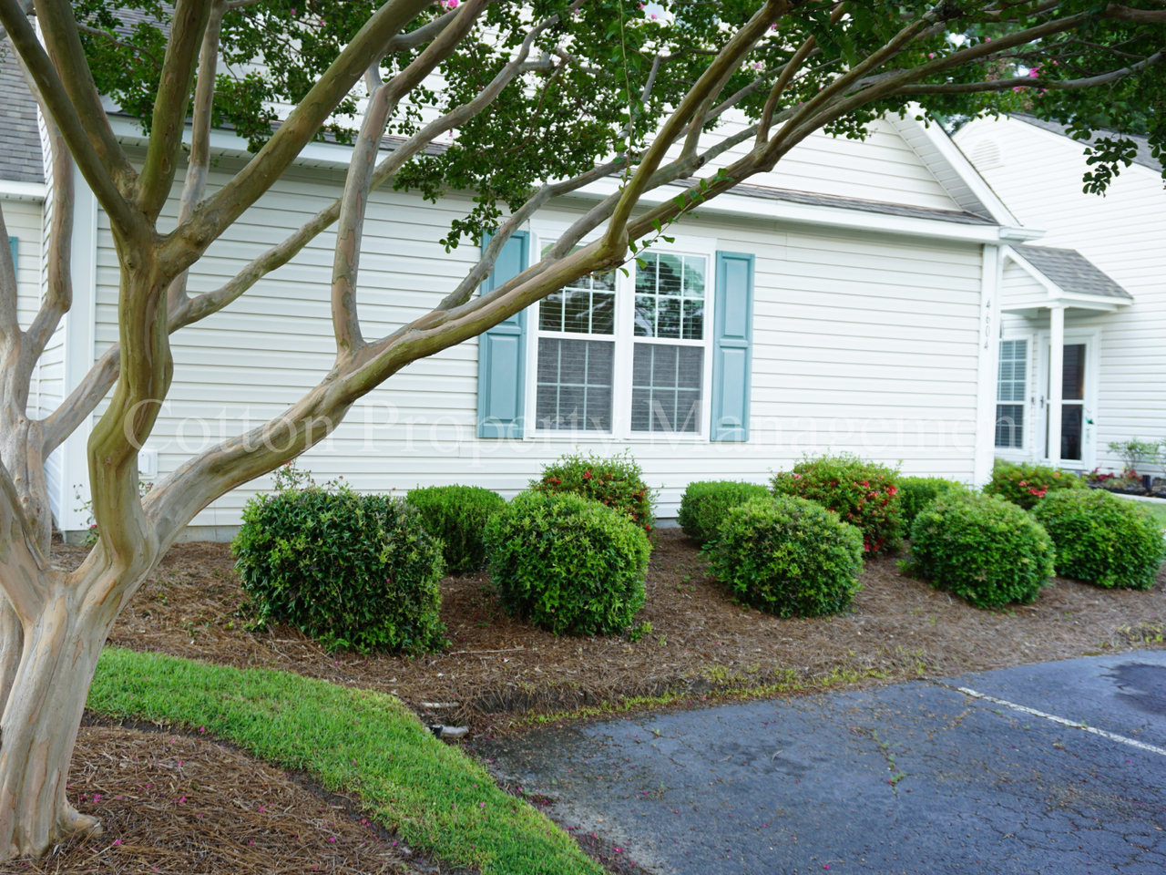 4604 Song Sparrow Ct - Photo 3 of 24