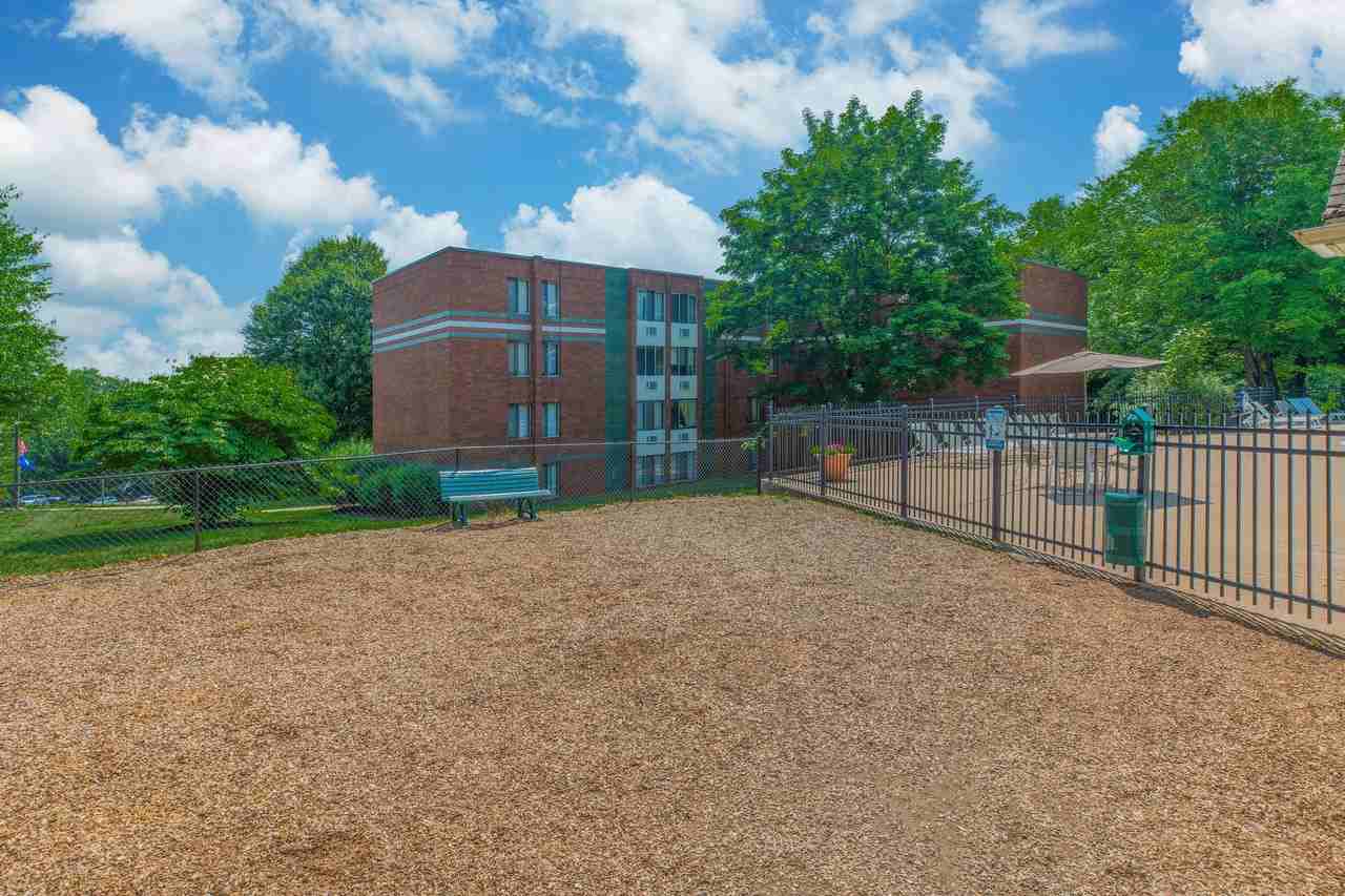 Sagamore Hills - Photo 6 of 17