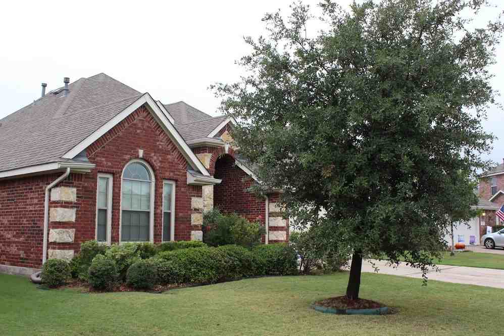 9729 Stripling Dr - Photo 2 of 24