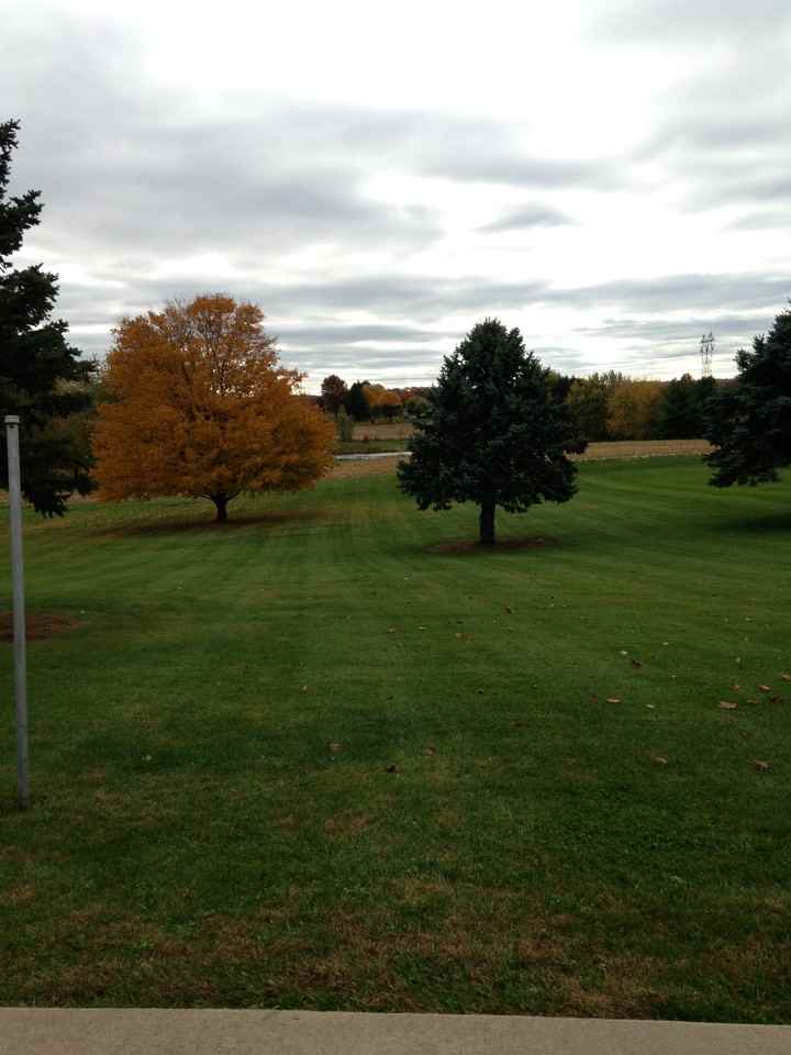 238 Mill Rd - Photo 3 of 13