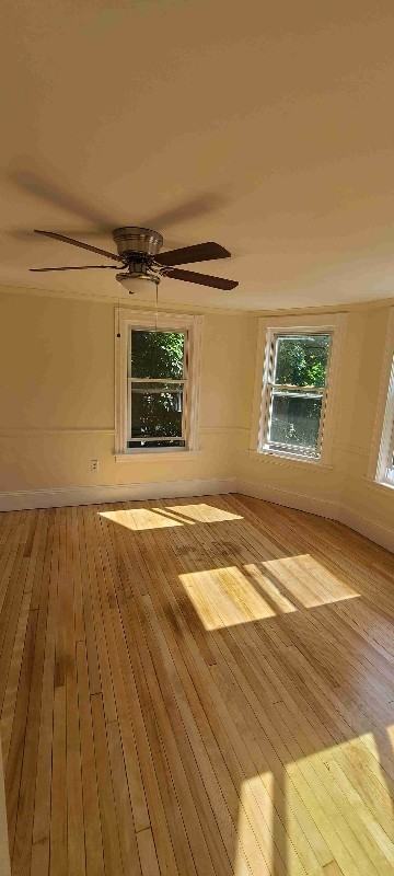 29 Nutting St #2 - Photo 4 of 13