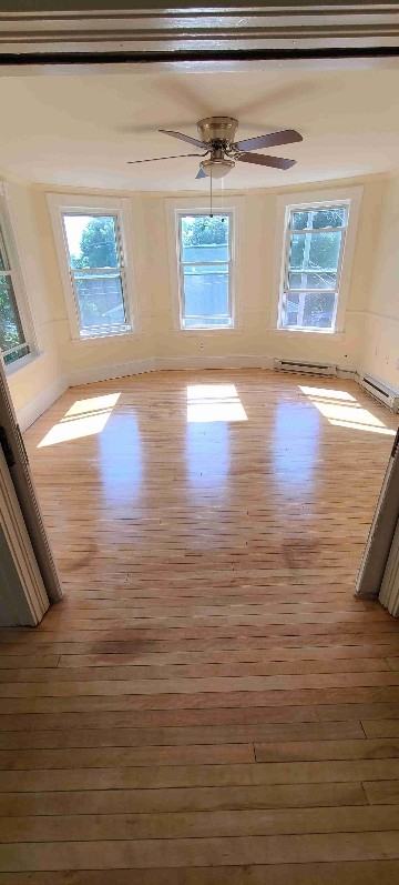 29 Nutting St #2 - Photo 5 of 13