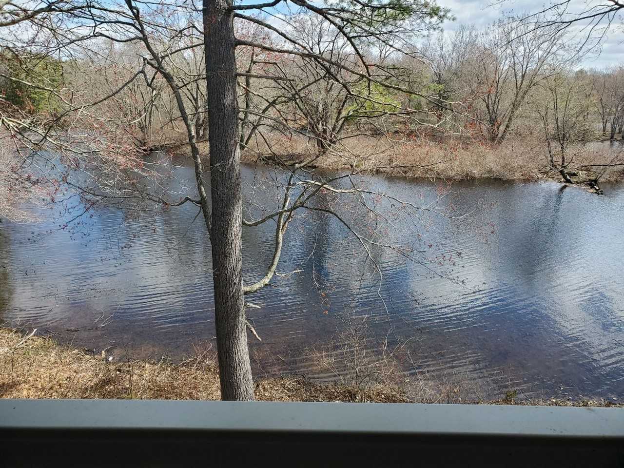 26H Piscassic Street - Photo 7 of 19