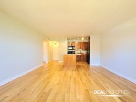 445 West Wellington Avenue #CL08H - Photo 1 of 1