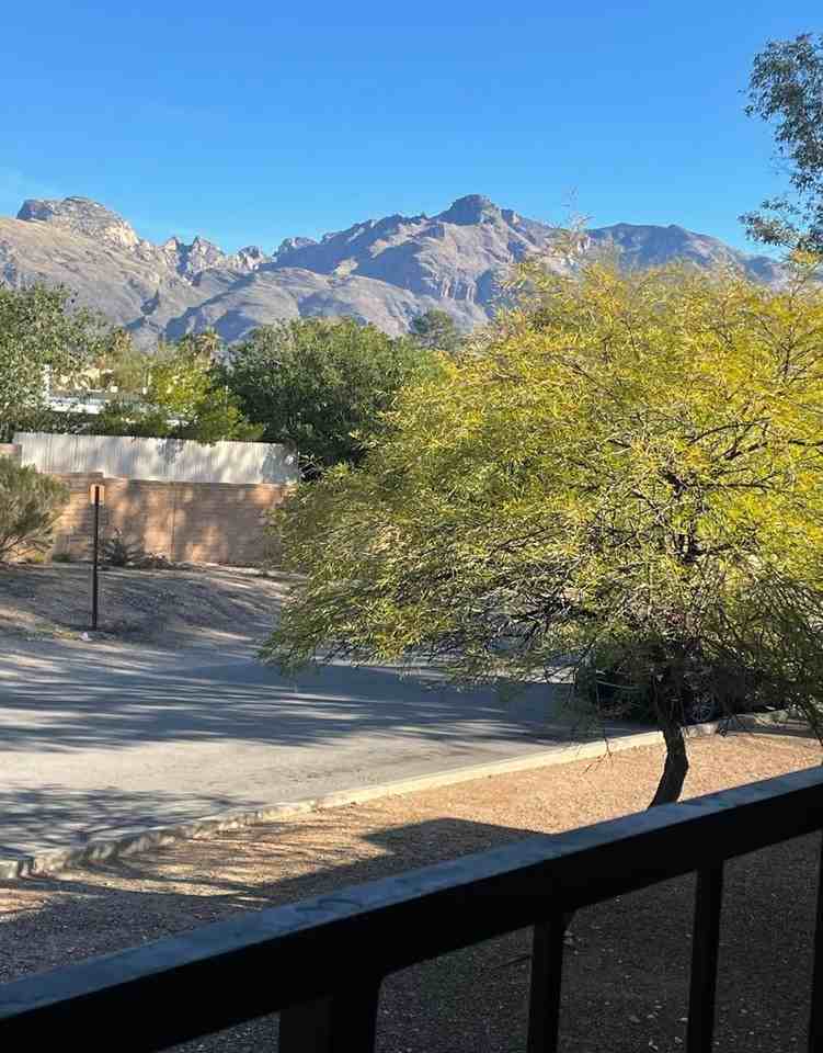 Mountain Village Apartments - Photo 5 of 36