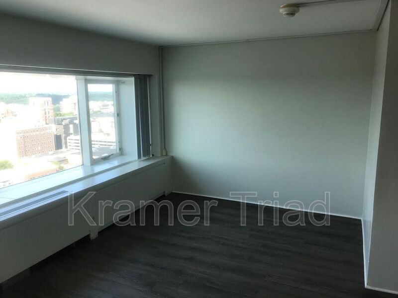 555 E William St #20E - Photo 5 of 12