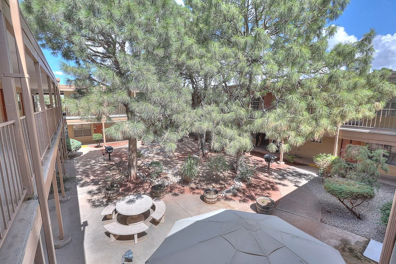 Casa Del Rey Norte Apartments - Photo 3 of 8