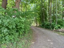 11381 Green Road - Photo 1 of 1